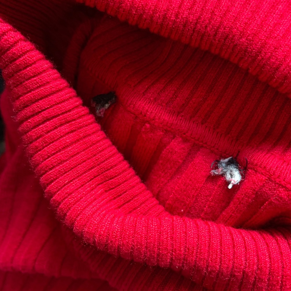 Red Turtleneck - Picture 6 of 6
